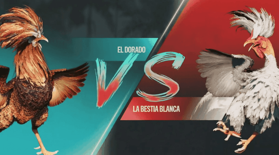 3800bet Registro Online e Games Exclusivos